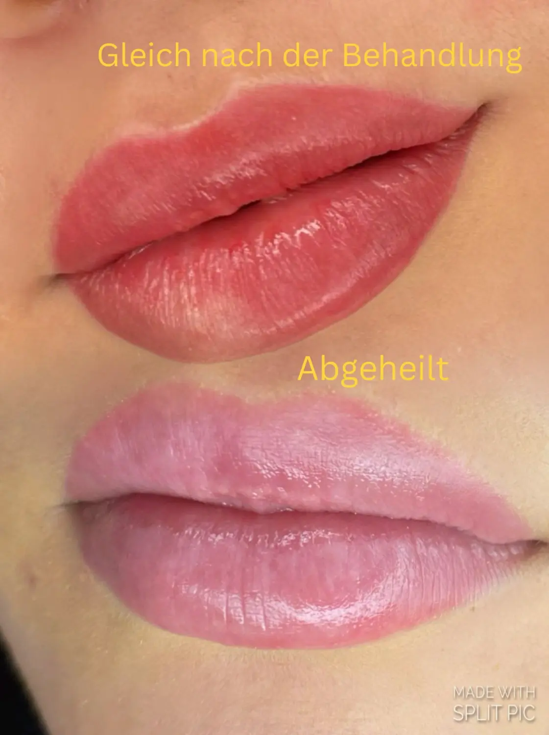 Permanent Pro by Jenny Mamytova - Permanent-Make-up für Lippen