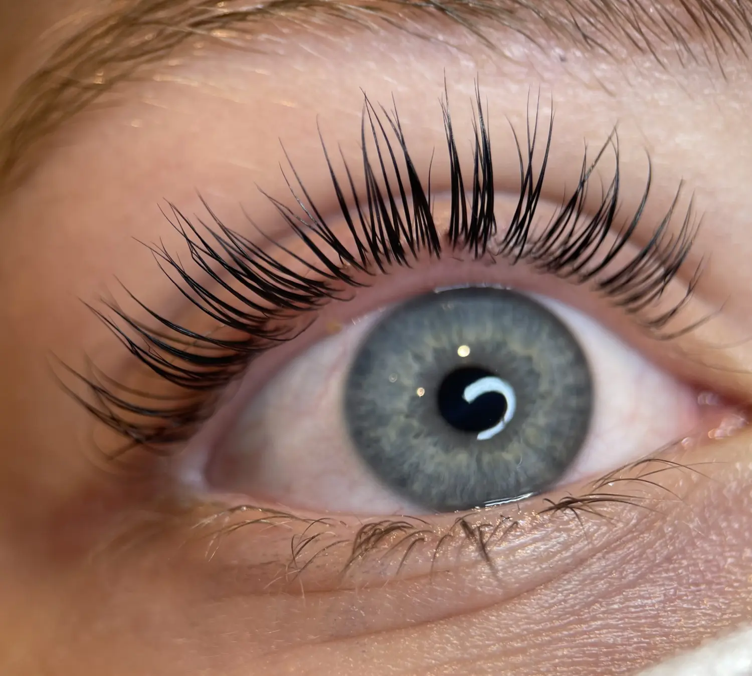 Permanent Pro by Jenny Mamytova - Lashlifting