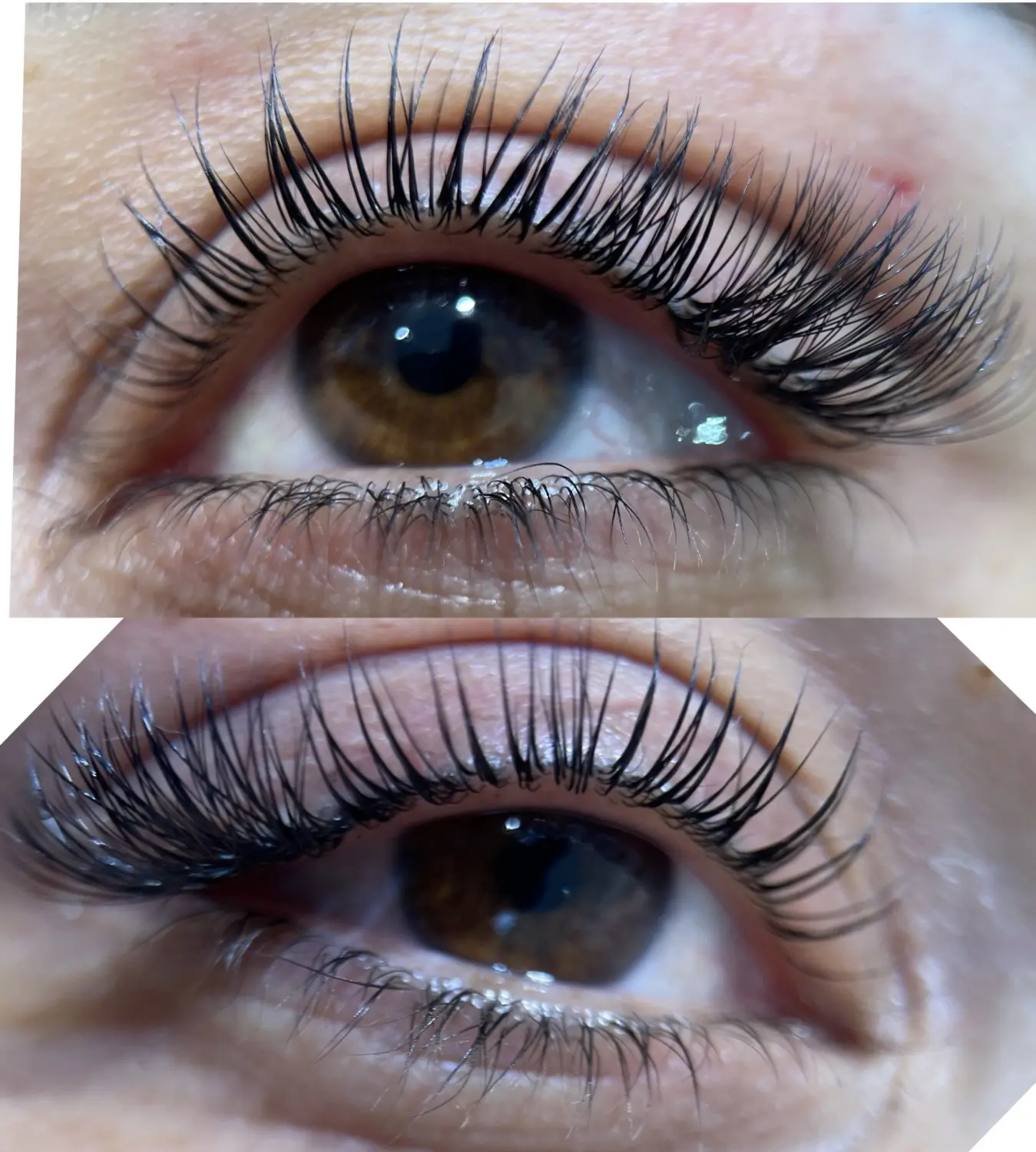 Permanent Pro by Jenny Mamytova - Lashlifting vorher und nachher