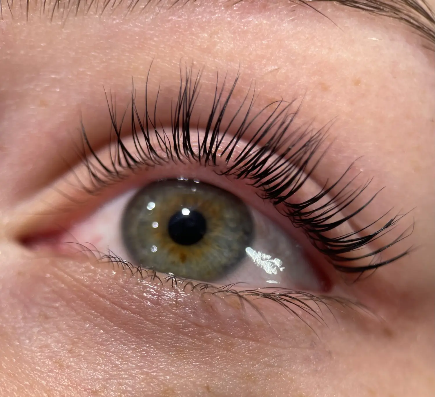Permanent Pro by Jenny Mamytova - Lashlifting
