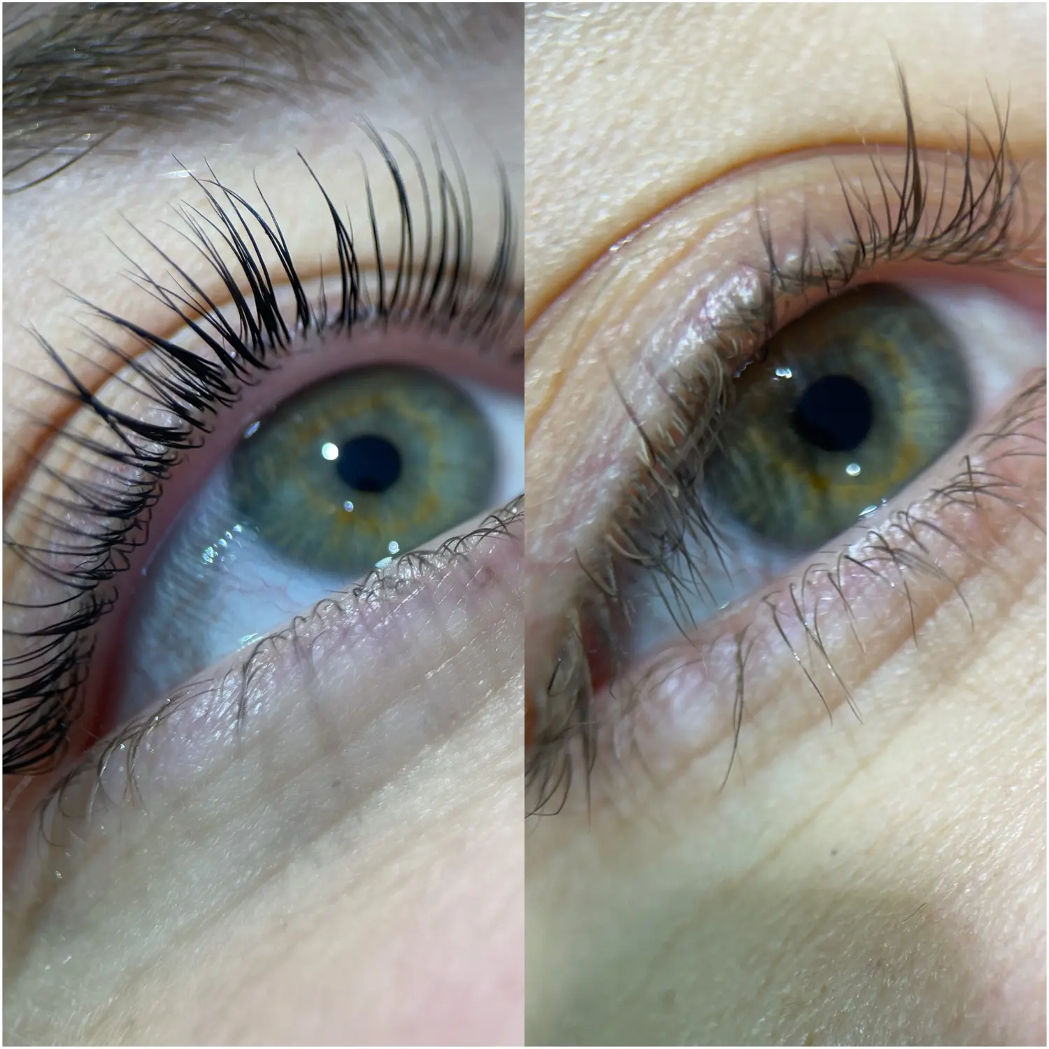 Permanent Pro by Jenny Mamytova - Lashlifting vorher und nachher
