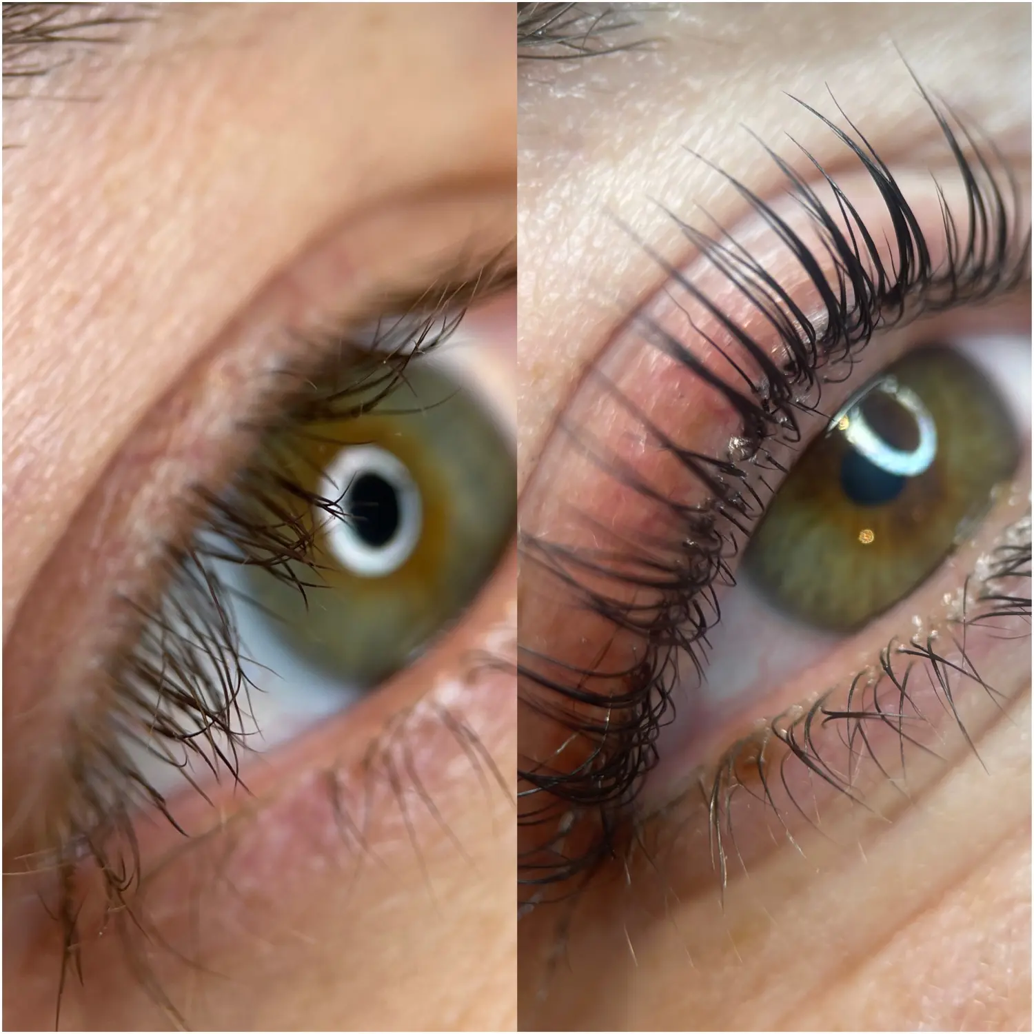 Permanent Pro by Jenny Mamytova - Lashlifting vorher und nachher