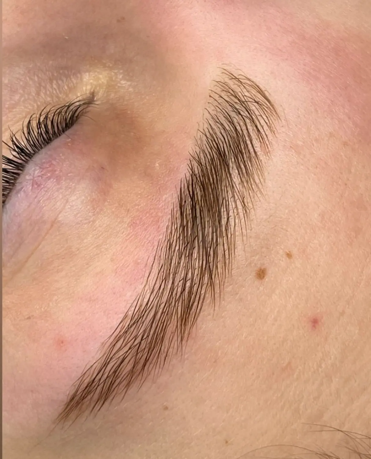 Permanent Pro by Jenny Mamytova - Augenbrauenlifting